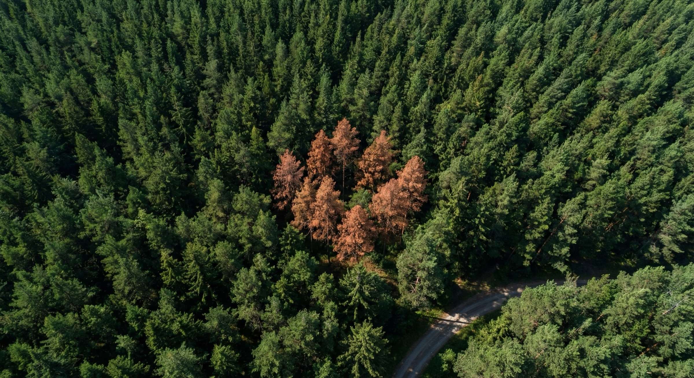 Betriebsleiter & Inhaber