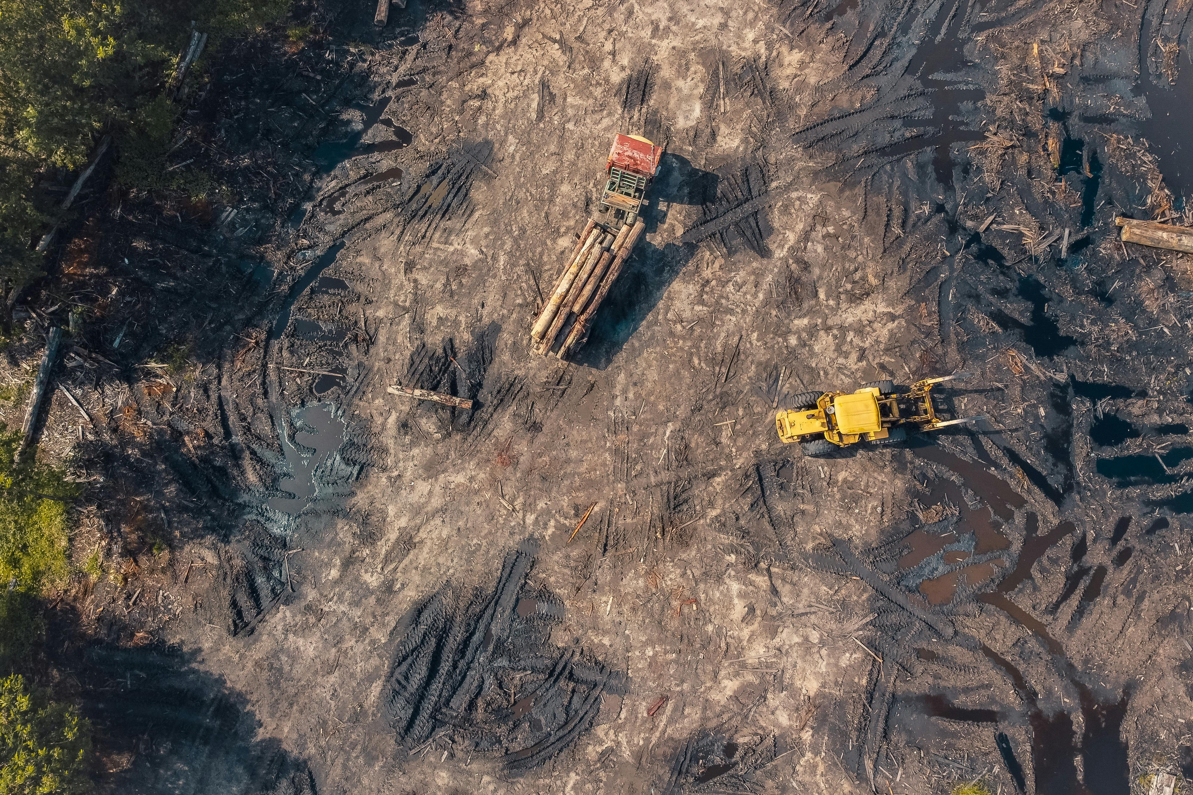 TimberTraxx